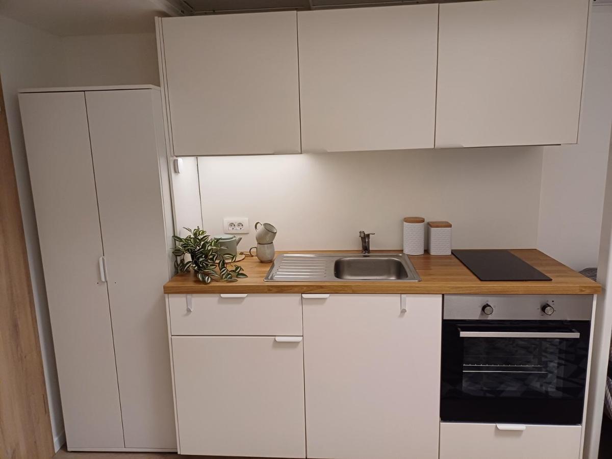Apartment Afrodita Ljubljana Extérieur photo